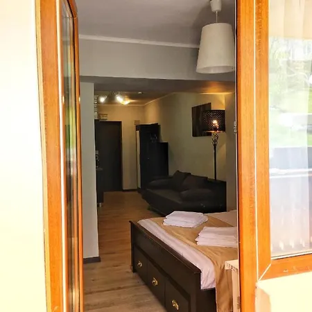 Apartment Impeccable 1-Bed Apartment In Brasov