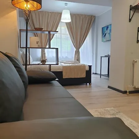 Impeccable 1-Bed Apartment In Brasov Apartment Brasov