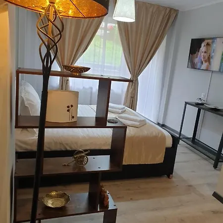 Impeccable 1-Bed Apartment In Brasov Brasov