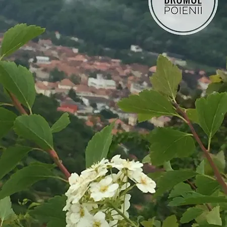 Impeccable 1-Bed Apartment In Brasov *