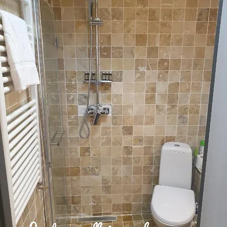 Apartment Impeccable 1-Bed Apartment In Brasov